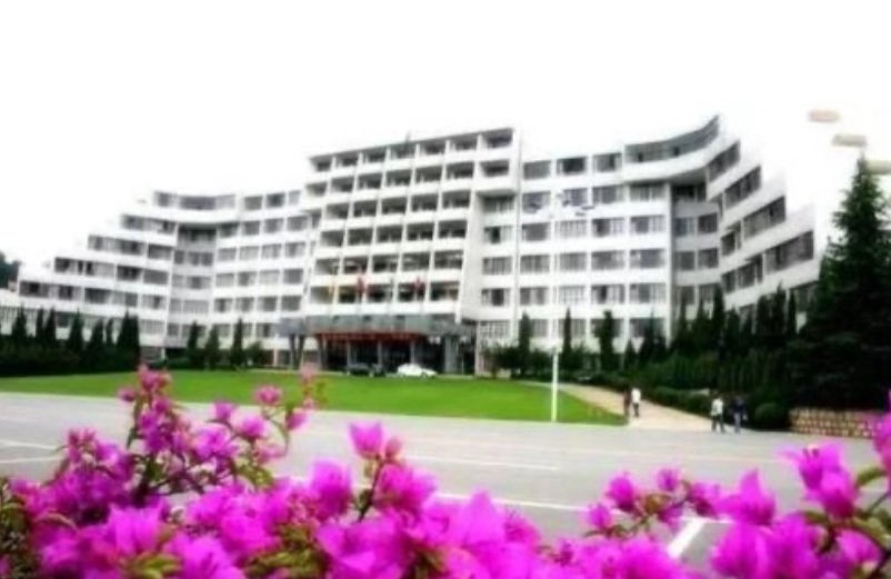图片9